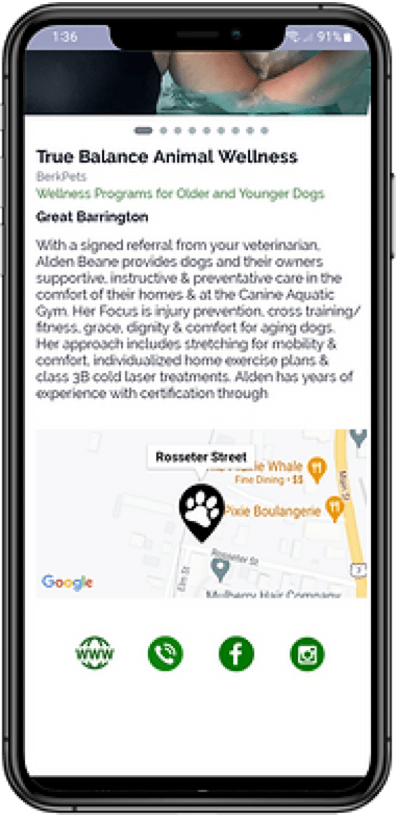 BerkHub App display of local dining, attractions, and events in the Berkshires